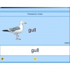 Английский язык. Освоение клавиатуры - «globural.ru» - Кузнецк