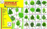 Демонстрационные карточки "Деревья и кустарники" - «globural.ru» - Кузнецк