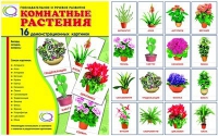 Демонстрационные карточки "Комнатные растения" - «globural.ru» - Кузнецк