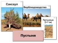 Модель-аппликация "Природные зоны России" - «globural.ru» - Кузнецк
