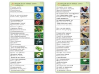 Комплект карточек (10) "Обучающий калейдоскоп. Природа" - «globural.ru» - Кузнецк