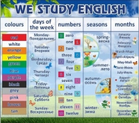 Стенд "We study english" - «globural.ru» - Кузнецк