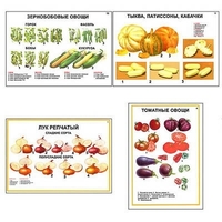 Плакаты ПРОФТЕХ "Ассортимент овощных культур" (12 пл, винил, 70х100) - «globural.ru» - Кузнецк