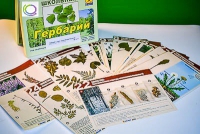 Гербарий к курсу основ общей биологии - «globural.ru» - Кузнецк