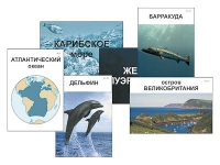 Модель-аппликация "Океаны. Знакомство" (ламинированная) - «globural.ru» - Кузнецк