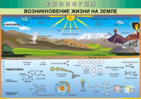 Таблица Возникновение жизни на Земле 1000*1400 винил - «globural.ru» - Кузнецк