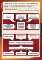 ОБЖ Здоровый образ жизни (комплект таблиц) - «globural.ru» - Кузнецк