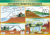Таблица Круговорот веществ в биосфере 1000*700 винил - «globural.ru» - Кузнецк