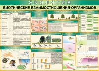 Таблица Биотические взаимоотношения организмов 1000*700 (винил) - «globural.ru» - Кузнецк