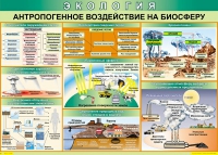 Таблица Антропогенное воздействие на биосферу 1000*700 винил - «globural.ru» - Кузнецк