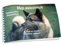 Пособие для слабовидящих "Домашние животные" - «globural.ru» - Кузнецк