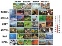 Фенологические наблюдения - «globural.ru» - Кузнецк