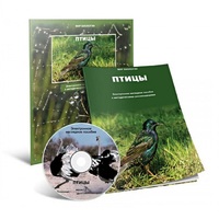 Электронное наглядное пособие «Птицы» - «globural.ru» - Кузнецк