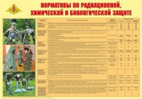 Плакат "Нормативы по радиационной, химической и биологической защите" - «globural.ru» - Кузнецк
