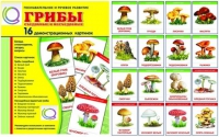 Демонстрационные карточки  "Грибы съедобные и не съедобные" - «globural.ru» - Кузнецк