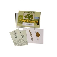 Гербарий "Лекарственные растения" (22 вида, с иллюстрациями) - «globural.ru» - Кузнецк