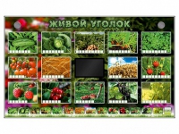 Комплект оборудования "Живой уголок" (растения) - «globural.ru» - Кузнецк