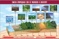Таблица демонстрационная "Смена природных зон от полюсов к экватору" (винил 70x100) - «globural.ru» - Кузнецк