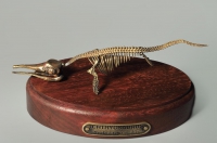 Модель скелета ихтиозавра Ichthyosaurus - «globural.ru» - Кузнецк