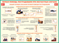  Таблица Общий порядок оказания первой помощи пострадавшим 1000*1400 винил	 - «globural.ru» - Кузнецк