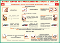 Таблица Порядок действий при ранениях и термических ожогах	 1000*1400 винил - «globural.ru» - Кузнецк