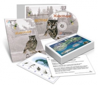 Комбинированное наглядное пособие «Животные» - «globural.ru» - Кузнецк
