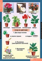 Окружающий мир 1 класс (комплект таблиц) - «globural.ru» - Кузнецк
