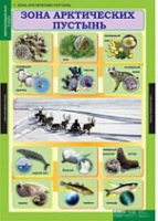 Окружающий мир 4 класс (комплект таблиц) - «globural.ru» - Кузнецк
