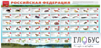 Стенд "Красная книга РФ" - «globural.ru» - Кузнецк