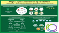 Стенд "Формы размножения организмов" - «globural.ru» - Кузнецк
