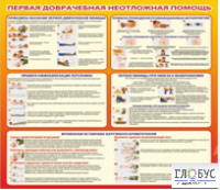 Стенд "Первая доврачебная неотложная помощь" - «globural.ru» - Кузнецк