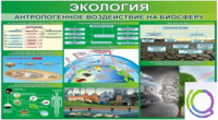 Стенд "Экология. Антропогенное воздействие на биосферу" - «globural.ru» - Кузнецк