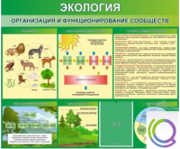 Стенд "Экология. Организация и функционирование сообществ" - «globural.ru» - Кузнецк