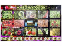 Комплект оборудования "Живой уголок" (растения) с тифлопереводом и сурдокомментариями - «globural.ru» - Кузнецк