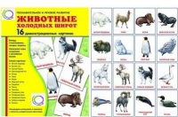 Демонстрационные карточки "Животные холодных широт" - «globural.ru» - Кузнецк