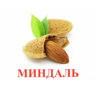 Карточки Домана "Орехи-Ягоды-2" - «globural.ru» - Кузнецк