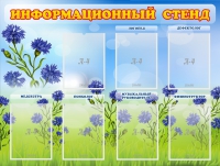 Стенд информационный с 7 карманами - «globural.ru» - Кузнецк