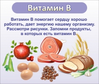 Стенд "Витамин В" - «globural.ru» - Кузнецк