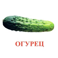 Карточки Домана "Овощи-Зелень-1" - «globural.ru» - Кузнецк