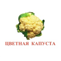 Карточки Домана "Овощи-Зелень-2" - «globural.ru» - Кузнецк