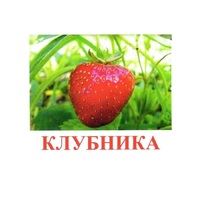 Карточки Домана "Ягоды-1" - «globural.ru» - Кузнецк