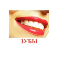 Карточки Домана "Части тела" - «globural.ru» - Кузнецк