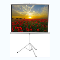 Экран на штативе DSKD-4303 - «globural.ru» - Кузнецк