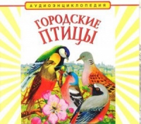 CD "Аудиоэнциклопедия. Городские птицы" - «globural.ru» - Кузнецк