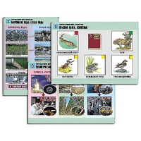 Комплект таблиц для  начальной школы "Окружающий мир. Экология" - «globural.ru» - Кузнецк