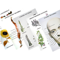 Таблицы по природоведению 1-3 класс - «globural.ru» - Кузнецк