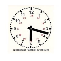 Часовой циферблат раздаточный - «globural.ru» - Кузнецк