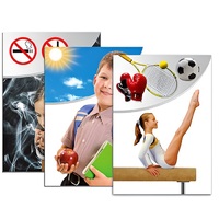 Модель-аппликация "Здоровье человека" - «globural.ru» - Кузнецк