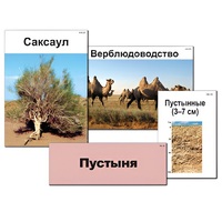 Модель-аппликация "Природные зоны России" - «globural.ru» - Кузнецк