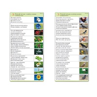 Комплект карточек (10) "Обучающий калейдоскоп. Природа" - «globural.ru» - Кузнецк
